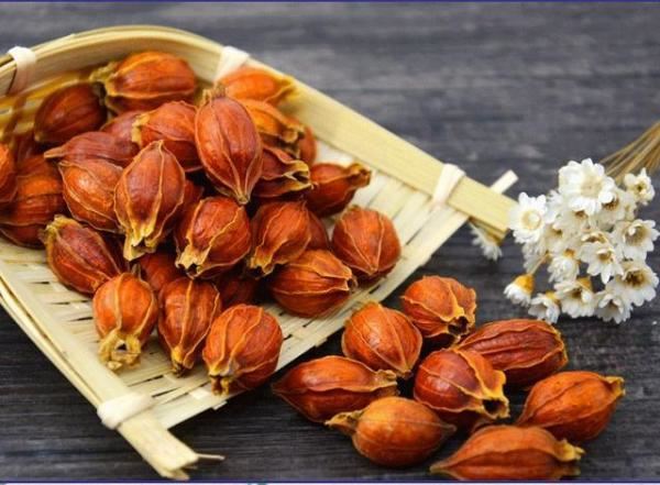 Gardenia Extract Powder