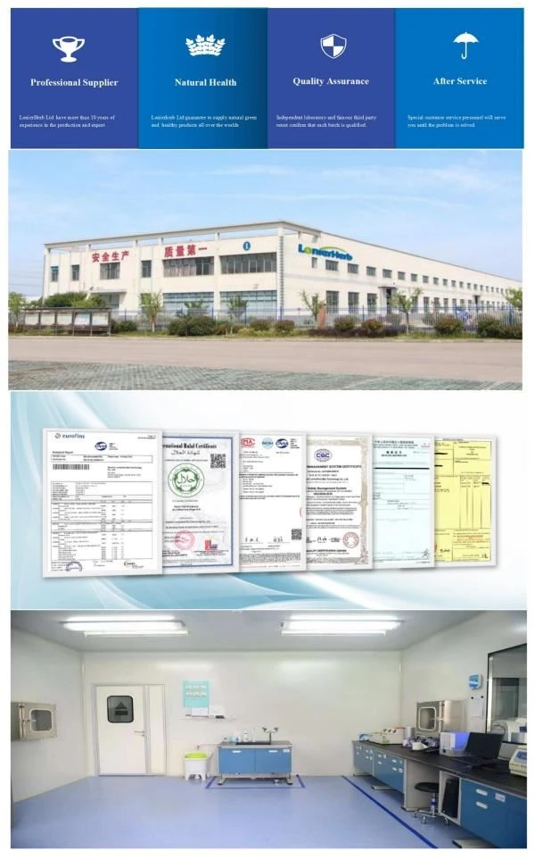 Manufacturer of Plant Extract