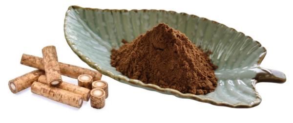 Burdock Extract Powder Factory