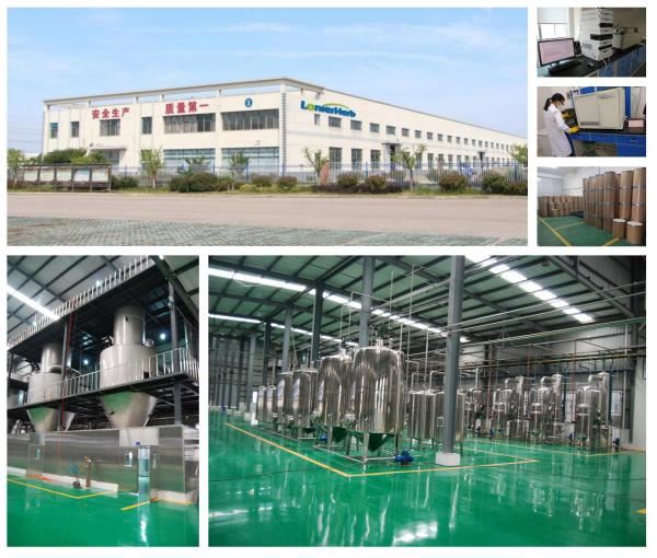 Burdock Extract Powder Chinese Factory