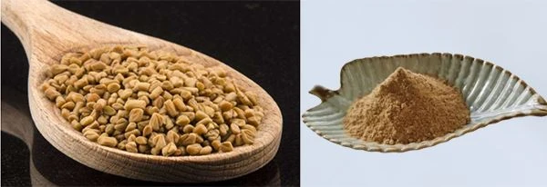 Fenugreek Total Saponins Fenugreek Total Saponins