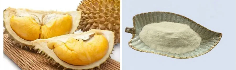 high quality Durian Fruit Powder
