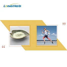 Hvorfor er vitamin K2 så viktig?