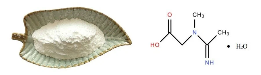 Micronized Creatine Monohydrate Powder Micronized Creatine Monohydrate Powder