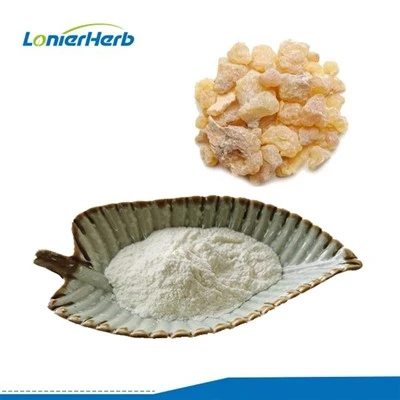 Mastic Gum Extract Pulver